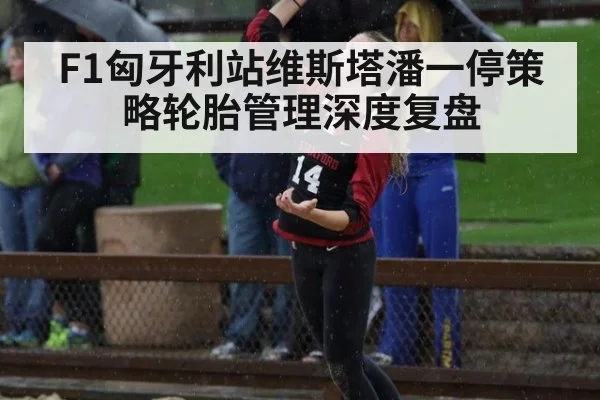 F1匈牙利站维斯塔潘一停策略轮胎管理深度复盘